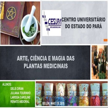 arte, ciência e magia das plantas medicinais  
