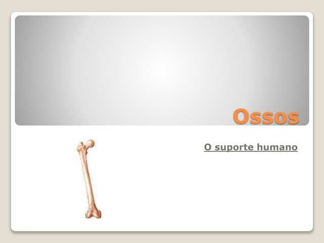Ossos