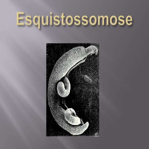 Esquistossomose