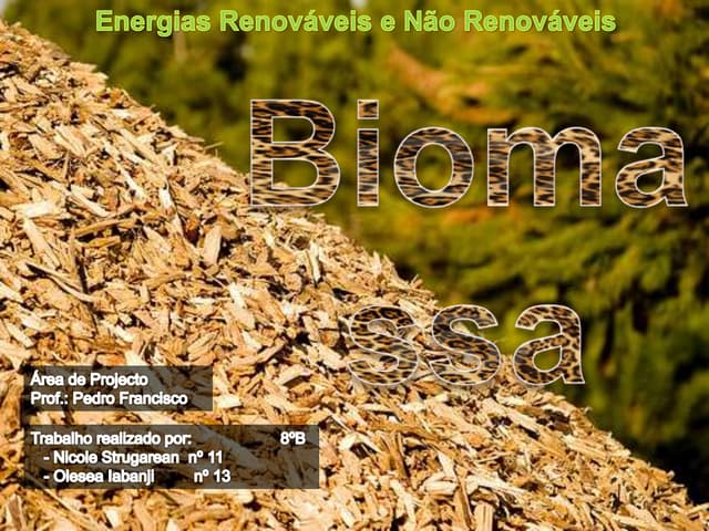 Energias Renováveis - Biomassa