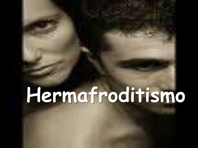 Trabalho Hermafroditismo G2