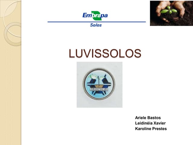 luvissolos Pedologia