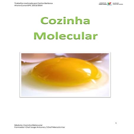 Gastronomia Molecular... Ciência na cozinha