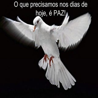 Trabalho Rodrigo 23/09/2009