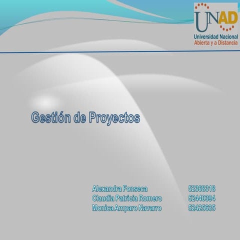 Etapas De Un Proyecto Fases, Estructura, Etapas... | PDF