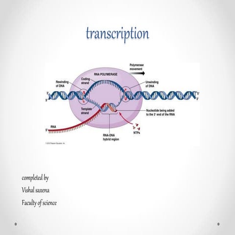 Trabscription vishal