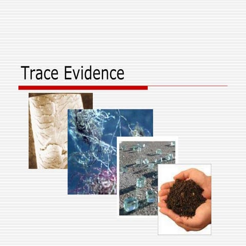 Trace Evidence.ppt