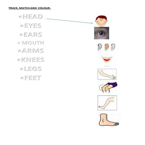 Trace match and colour | DOCX
