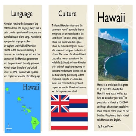 tracey-hawaii-ppt