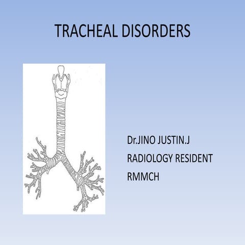 Tracheal pathologies