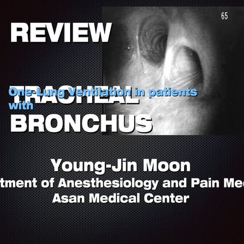 Tracheal bronchus slide