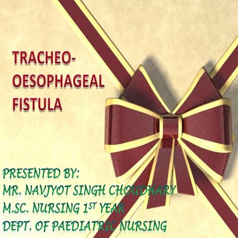 Tracheo oesophageal fistula