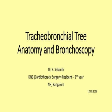 Tracheobronchial tree anatomy and bronchoscopy