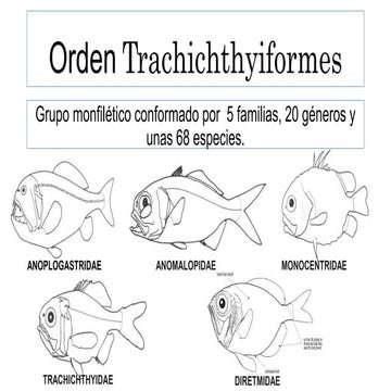 Peces Oseos Trachichthyiformes PPT