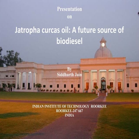 Jatropha Curcas Oil: A Future Source of Biodiesel