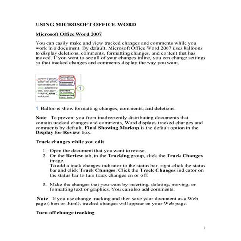Track changes 2007 | DOC
