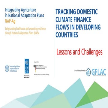 Tracking domestic climate finance flows in developing countries lessons and c...