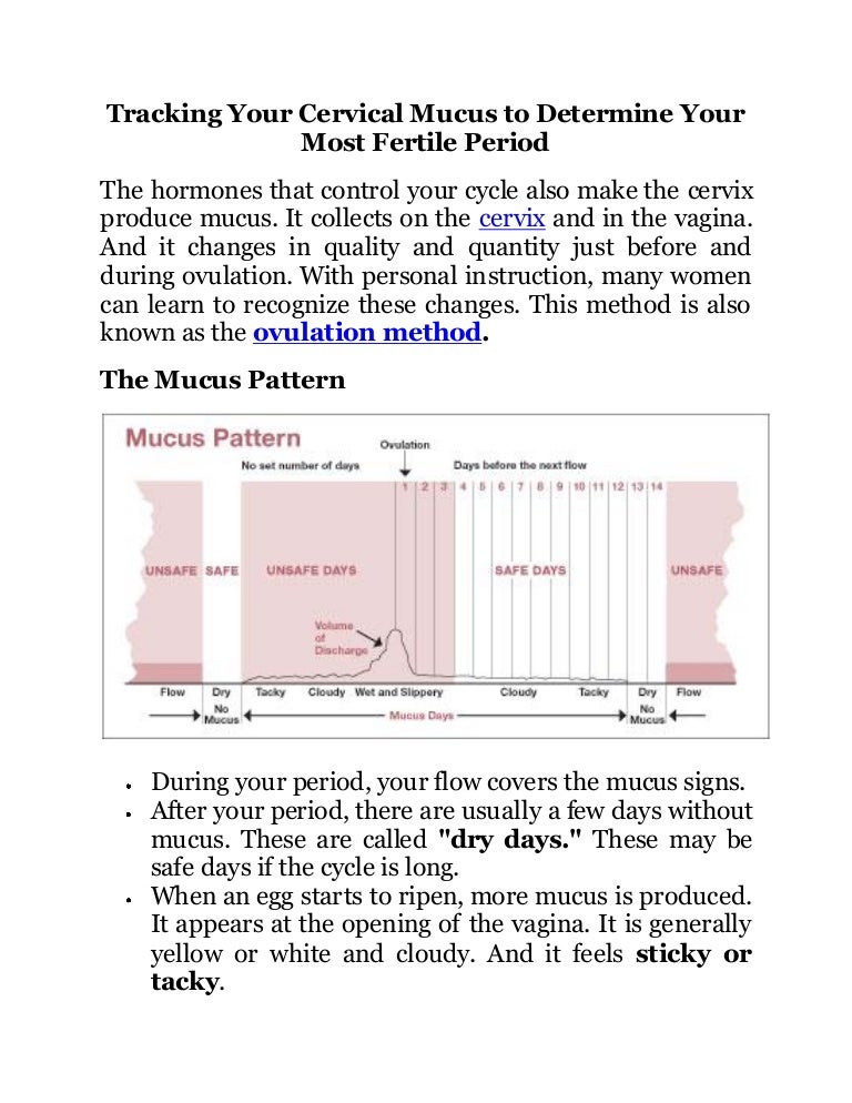 Tracking your cervical mucus to determine your most fertile period