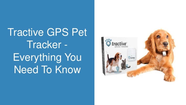 Tracking collars for dogs Tracking collars for dogs