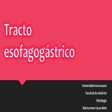 Tracto esofagogastrico