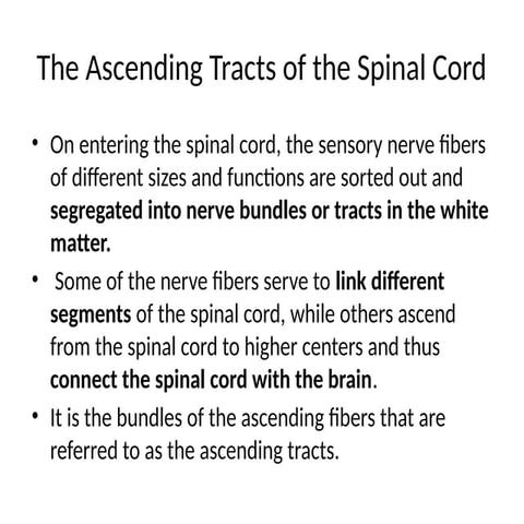 tracts of  spinal cord in neurology.pptx