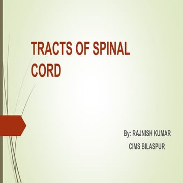 Tracts of spinal cord