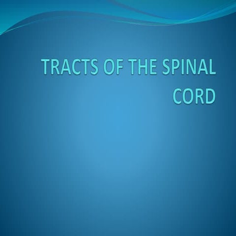 TRACTS OF THE SPINAL CORD.pptx