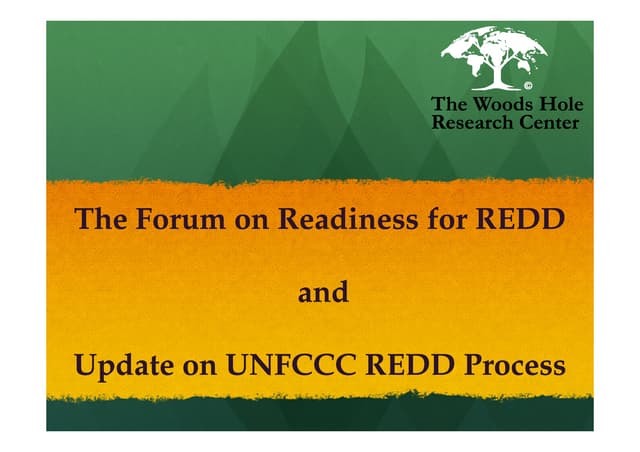 Tracy johns   update unfccc redd process