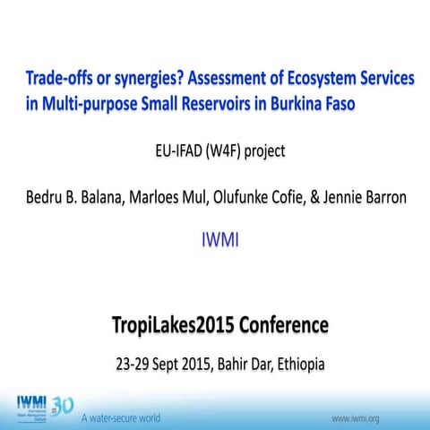 Trade-offs or synergies? Assessment of Ecosystem Services in Multi-purpose Sm...