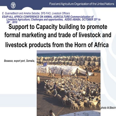 Support to Capacity building to promote formal marketing and trade of livesto...