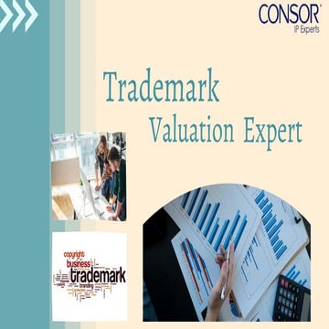 Trademark Valuation Expert | PDF