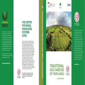 Traditional-Rice-Varieties-of-Tamilnadu_compressed.pdf