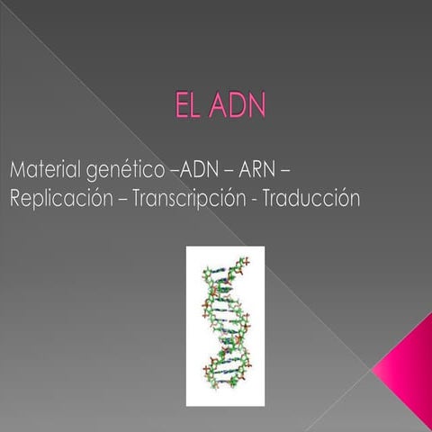 Traduccion y transcripcion