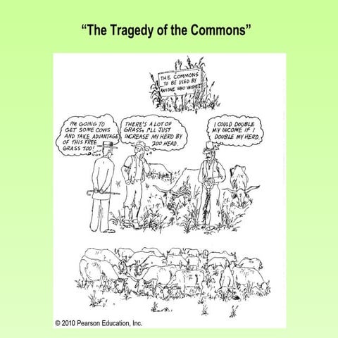 Tragedy of the Commons