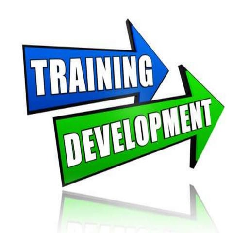 Training and development