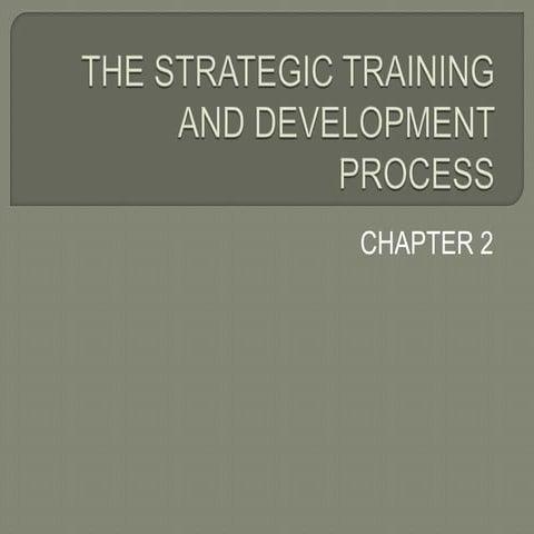 THE STRATEGIC TRAINING AND DEVELOPMENT PROCESS