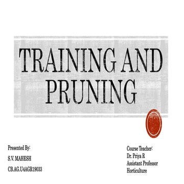 Training and pruning