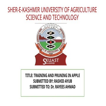 TRAINING AND PRUNING  for quality fruit production