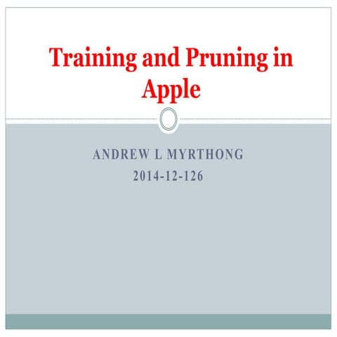 Training and pruning in apple