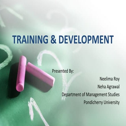 Training & Development