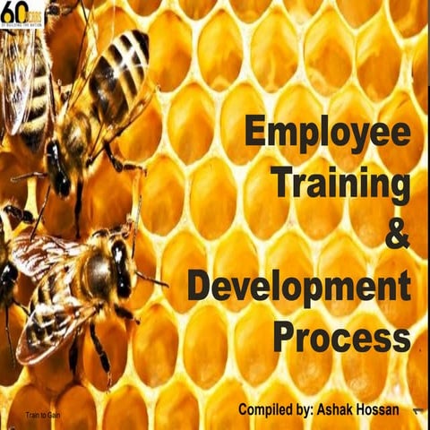 Training & development