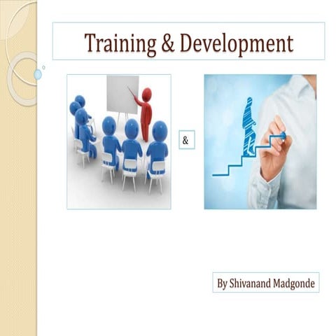 Training & Development