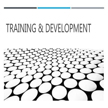 Training &amp; development