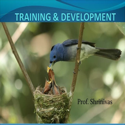 Training & development
