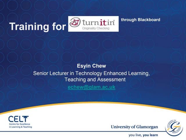 Training for turnitin2 through blackboard