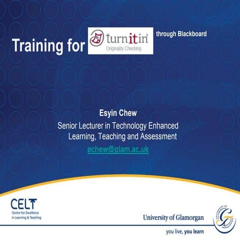 Training For Turnitin Through Blackboard   Student V 2