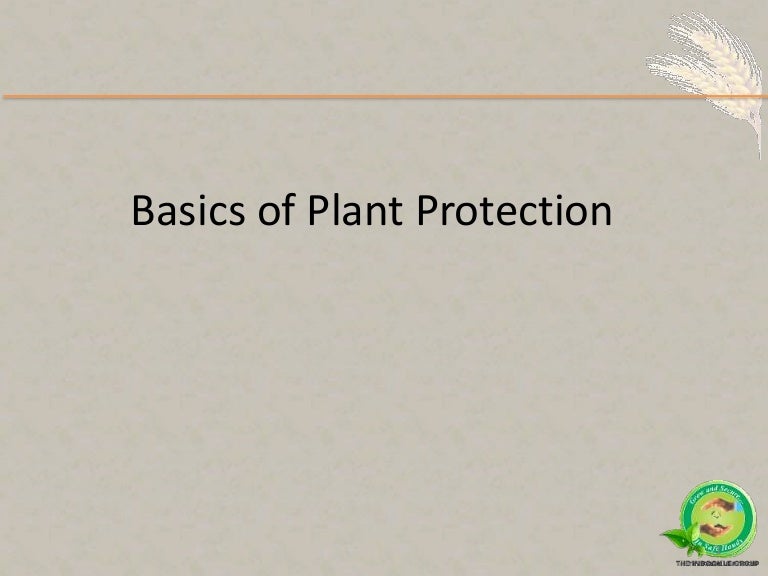 Basics of plant protection