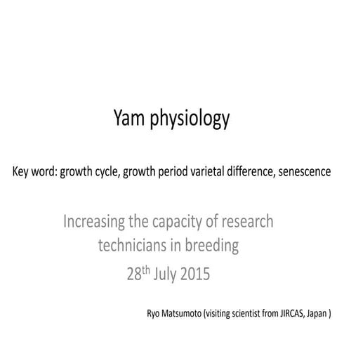 Yam Physiology