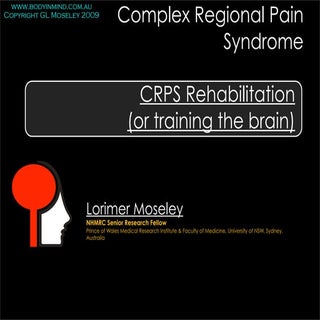 Training The Brain 3 Brain Changes