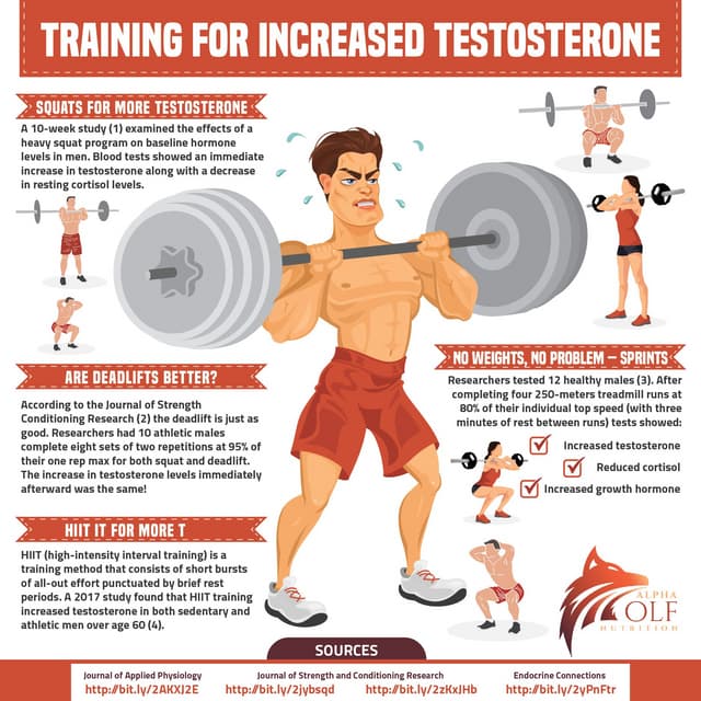 Training To Increase Testosterone Pdf